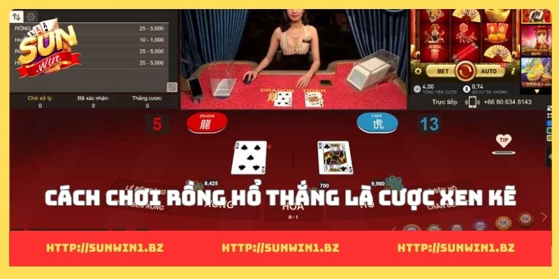 Cách chơi Rồng Hổ thắng là cược xen kẽ